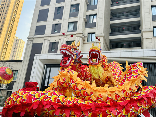 皇姑区明廉街道中海西社区“我们的节日• 元宵节”灵蛇献瑞贺新春