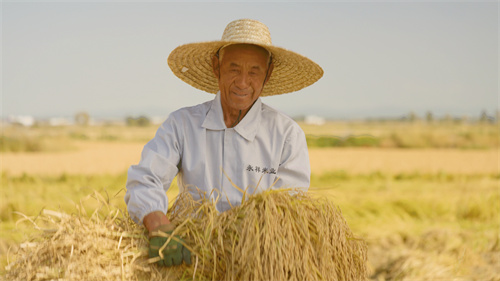 �������� �������� �����ִ�ũҵ2025���峣����¡������ ����Ʒζ����ϵ�����