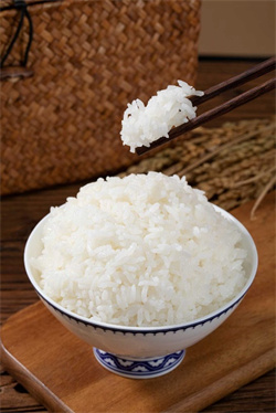 �������� �������� �����ִ�ũҵ2025���峣����¡������ ����Ʒζ����ϵ�����