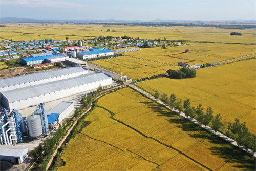 �������� �������� �����ִ�ũҵ2025���峣����¡������ ����Ʒζ����ϵ�����