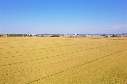 �������� �������� �����ִ�ũҵ2025���峣����¡������ ����Ʒζ����ϵ�����