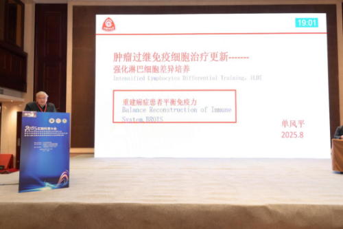 �����������������ա�д��ƪ��2025�س����մ��������Բ����Ļ